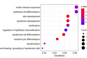 真正的科研做什么？哈佛大学_生物医学项目科研报告（英文）