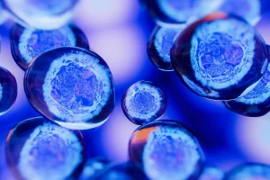 慕尼黑工业大学细胞生物学、遗传学博士项目