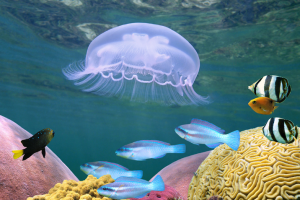 慕尼黑工业大学水生系统生物学博士项目