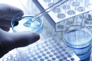 马克斯·普朗克研究所分子生物系博士项目