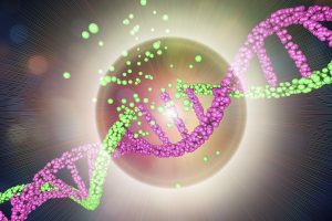 香港中文大学细胞与分子生物学博士项目