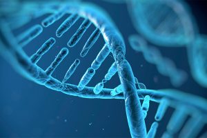 南加州大学生物医学工程全奖博士项目