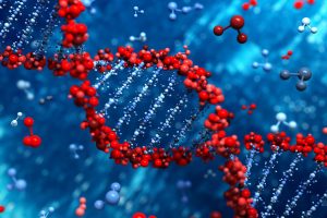 马克斯·普朗克研究所分子生物系博士项目