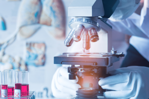 香港大学生物医学博士项目