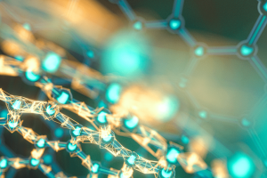 香港中文大学细胞与分子生物学博士项目